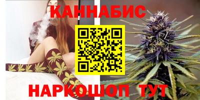 крисы Нальчик
