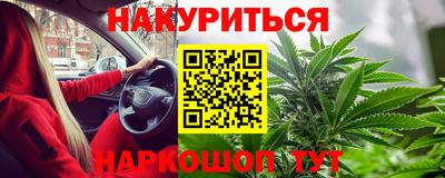 прущие грибы Новокубанск
