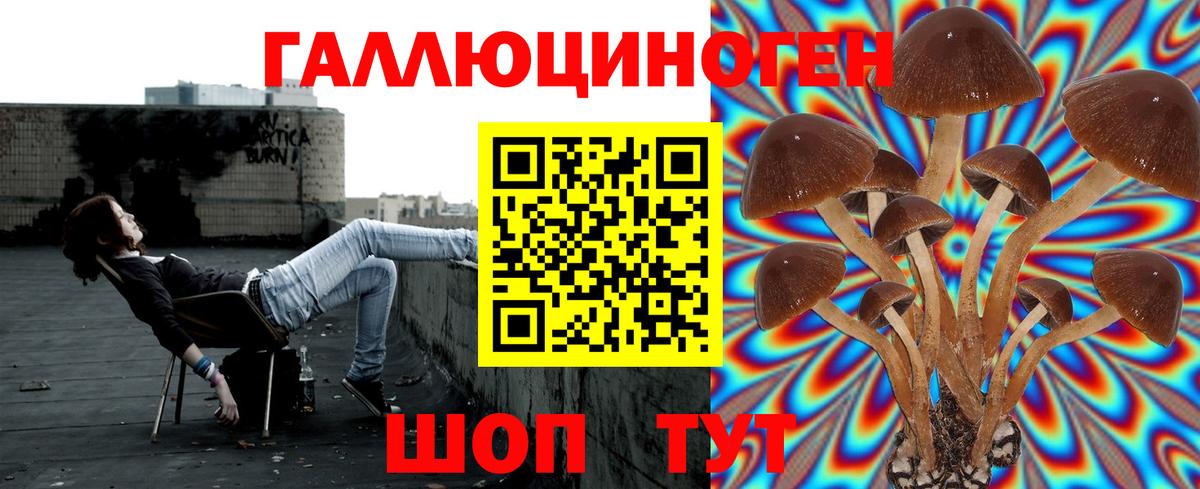 Псилоцибиновые грибы MAGIC MUSHROOMS  Псилоцибиновые грибы GOLDEN TEACHER  Вход с VPN  Ульяновск 
